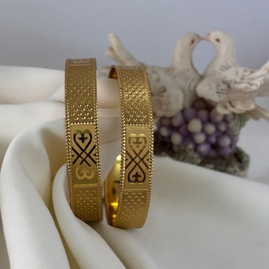 Dual Tone Bangles ( Single ) B_0138