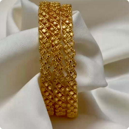 Daily Wear Bangles (Set of 2) B_0100