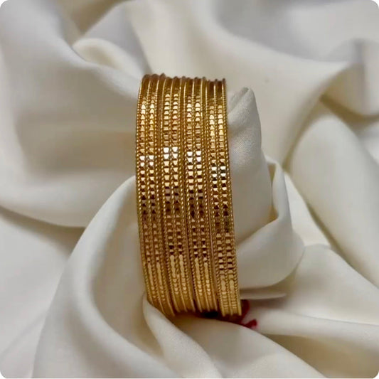 Daily Wear Bangles (Set of 2) B_0101